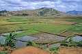 paysage, rizières, cultures de riz, madagascar 
