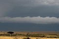  paysage, savane, orage, masai mara, kenya, afrique 