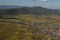  Alsace, bas-rhin, scherwiller, vignes, vignoble, paysage, centre patrimonial, historique 