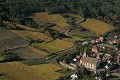  Alsace, bas-rhin, châtenois, vignes, vignoble, paysage, centre patrimonial, historique, église saint-georges 